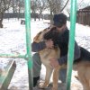 Akcja na rzecz Schroniska dla Bezdomnych Zwierząt w Orzechowcach
